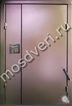 Подъездная дверь с домофоном. Отделка порошковый окрас - купить от производителя Мосдвери Подъездная дверь с домофоном. Отделка порошковый окрас